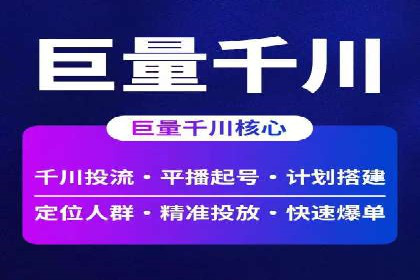 百度品牌专区推广的成效与案例